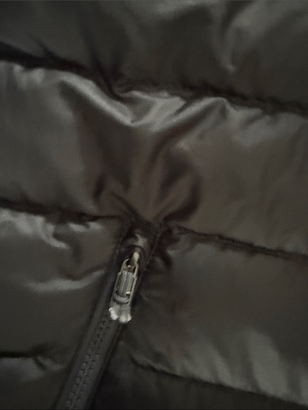 Patagonia Black Quilted Puffer Jacket - Picture 4 of 5